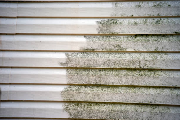 Best Construction Debris Removal  in Big Rapids, MI