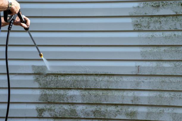 Best Property Management Cleanouts  in Big Rapids, MI