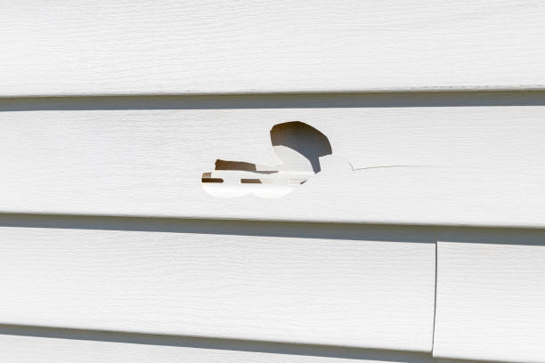 Property Management Cleanouts in Big Rapids, MI